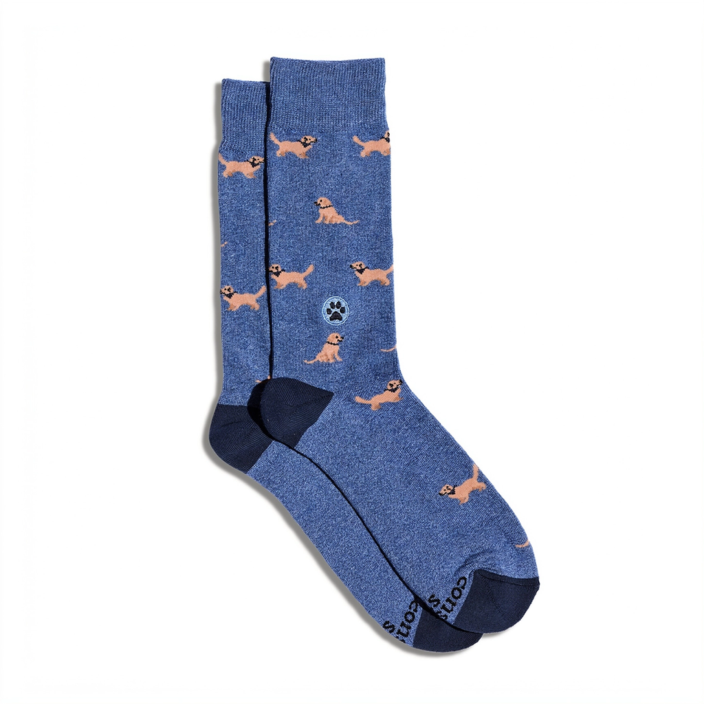 Blue socks with golden retrievers on them