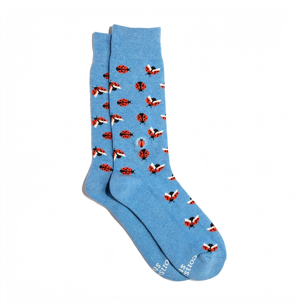 Sky blue socks with ladybugs