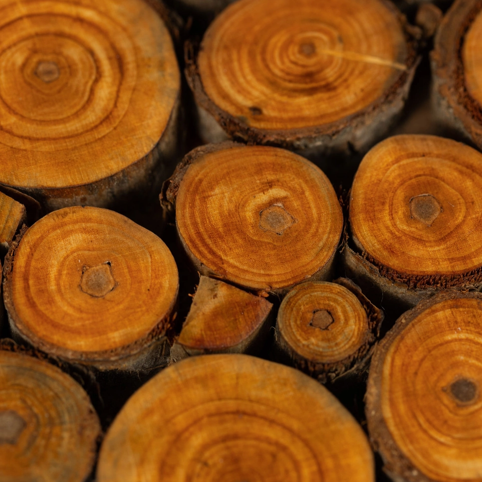 Square trivet made out of slices of mango wood