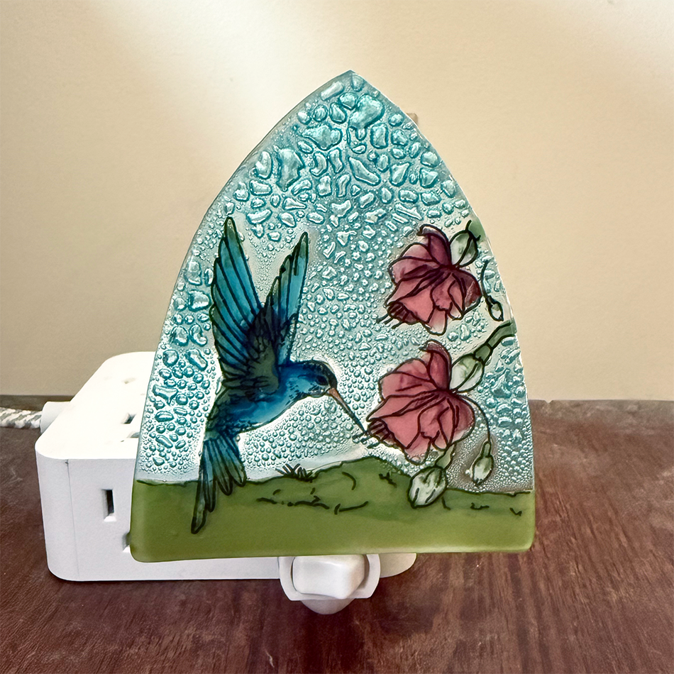 Hummingbird Nightlight, Ecuador