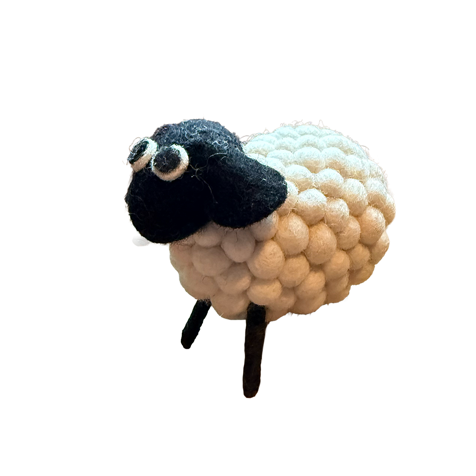 White Felted Sheep, Nepal