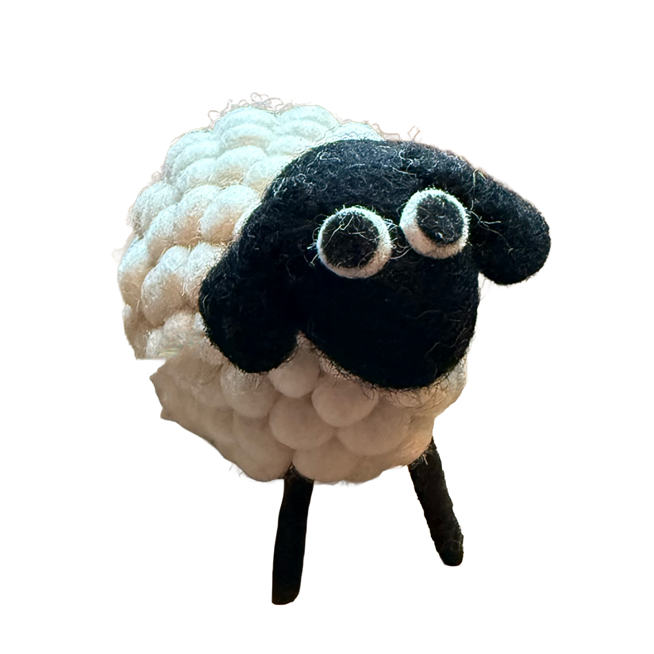 White Felted Sheep, Nepal