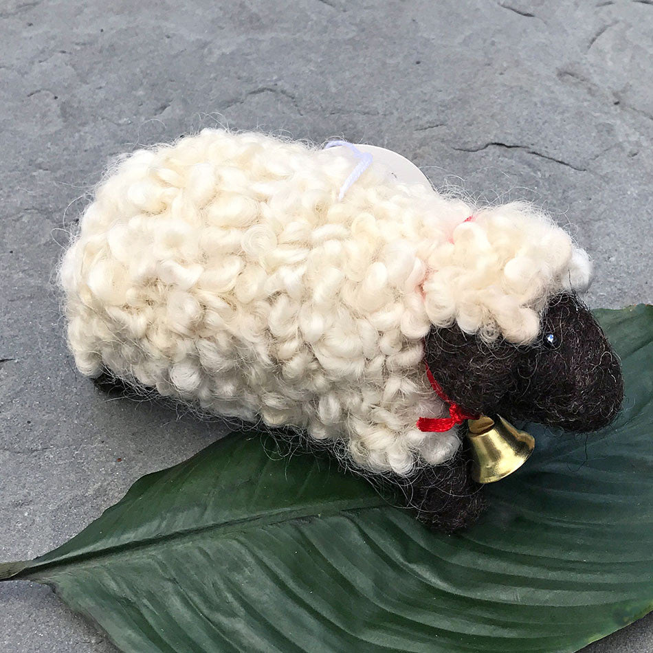 Shiloh the Sheep, Guatemala