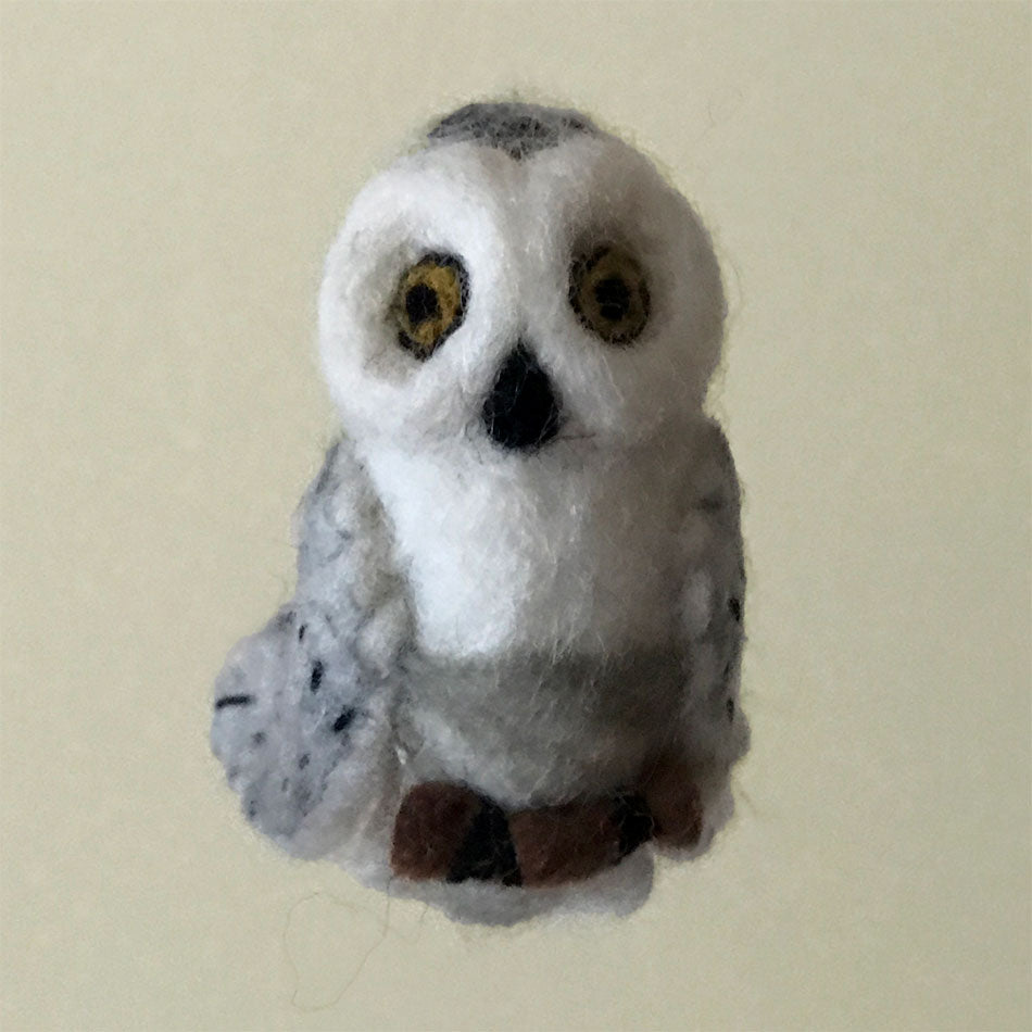 Snowy Owl, Nepal